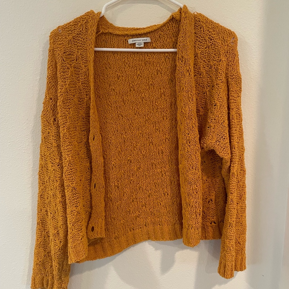 American Eagle Cropped Sweater